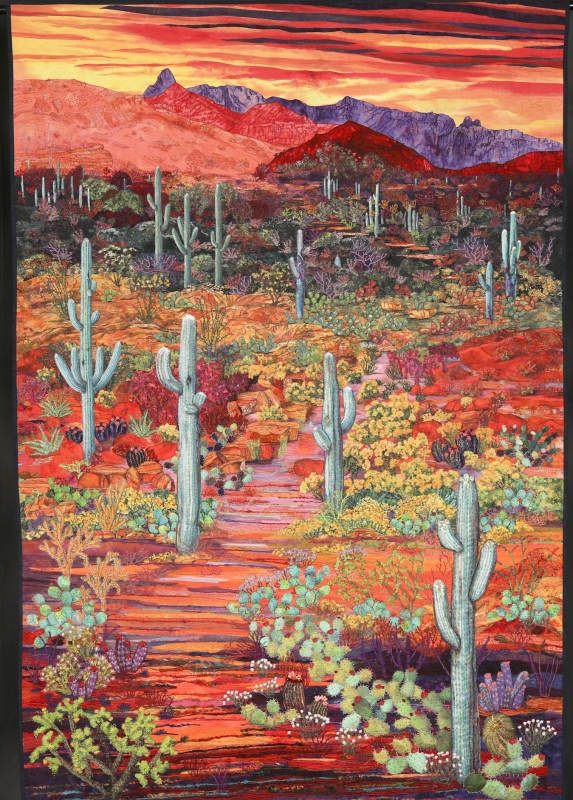 Sonoran Desert Sunset 2020 14637