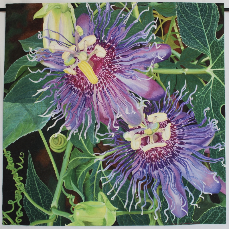 Passiflora-Find Joy, Live your Passion 2022 15324