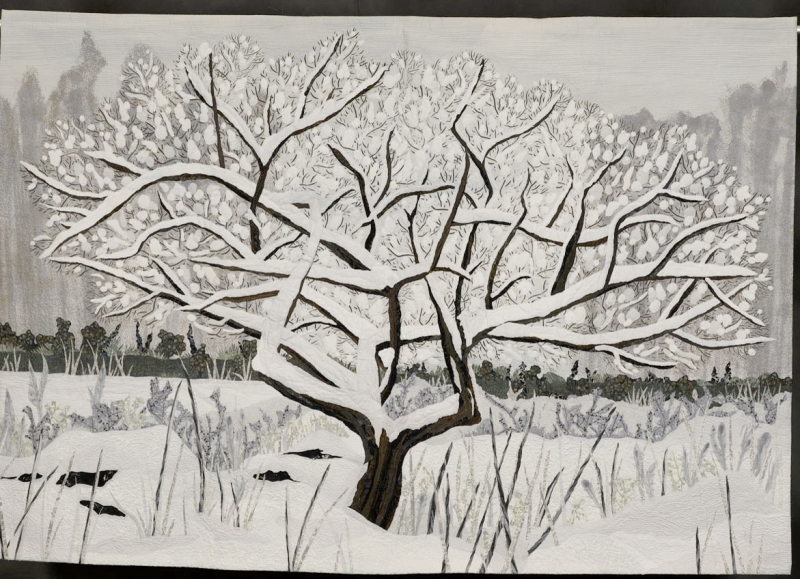 The Old Apple Tree, Winter 2023 15672
